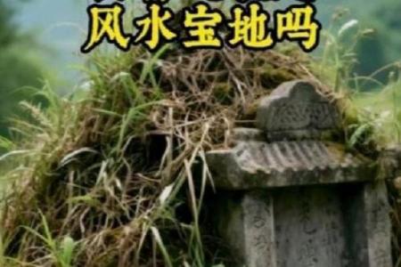 传说中的风水祖坟故事都有哪些