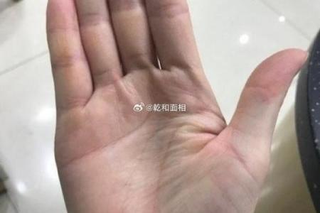 手型算命：金型手人的性格与命运