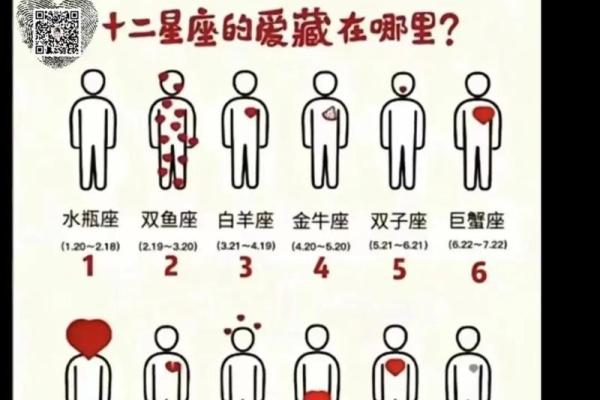 如何测自己的星座 怎么查自己的星座
