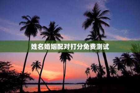 姓名测试与配对分析 姓名测配对婚姻配对？