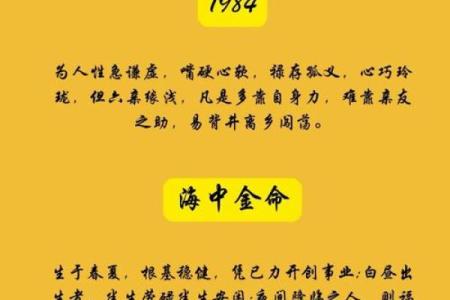 鼠的八字