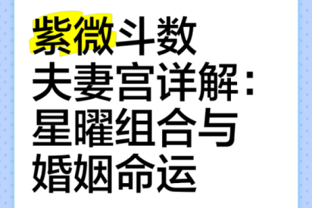 紫薇斗数夫妻宫凤阁