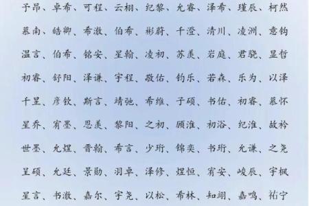 2019年3月25号辰时出生的男孩起名方法姓名