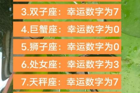 中大奖的星座运势