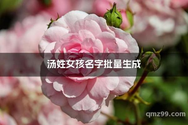 汤姓女孩名字大全-汤姓女孩起名字大全-汤姓名字大全姓名