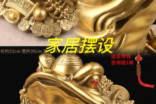 金蟾蜍的风水寓意及如何摆放