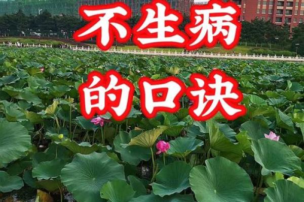 这几类不好的风水导致人老生病