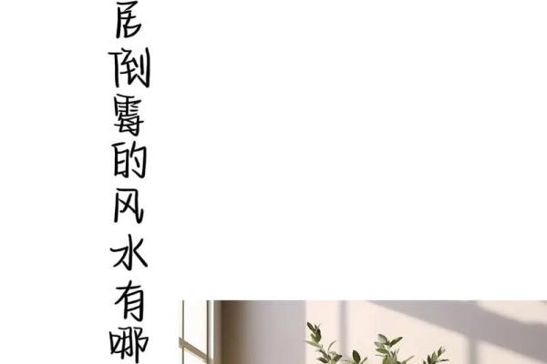 找了好风水，为什么还是会倒霉