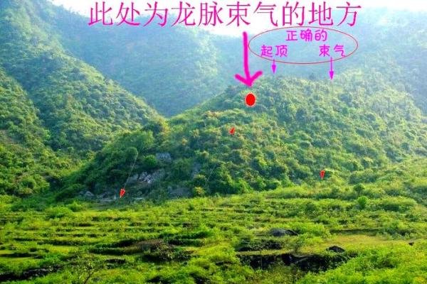 最发人丁的坟地风水