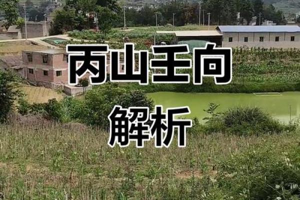 丙山壬向兼午子风水 丙山壬向兼午子风水