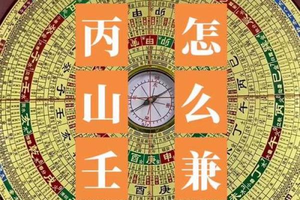 丙山壬向兼午子风水 丙山壬向兼午子风水