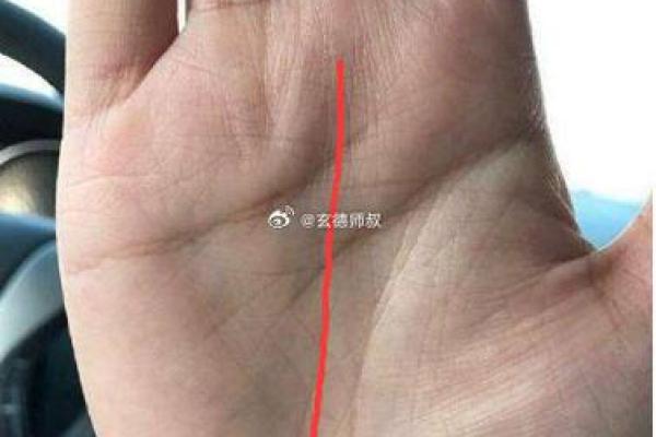 女人的事业线止于感情线命运如何风水