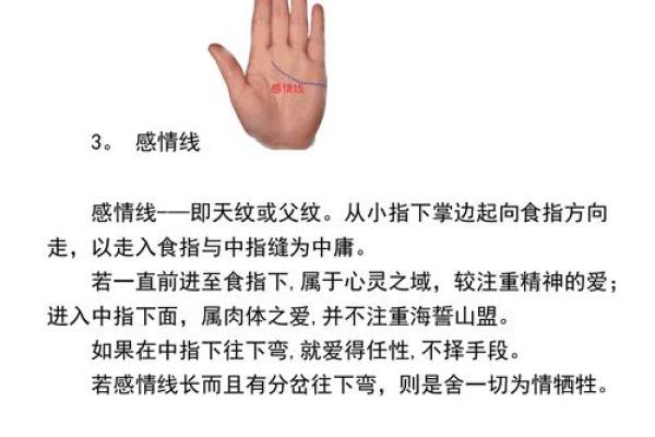 女人的事业线止于感情线命运如何风水