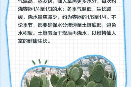 仙人掌的风水作用，仙人掌的风水作用禁忌