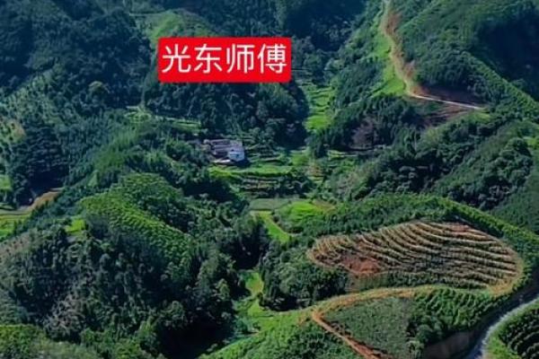 犀牛望月风水宝地