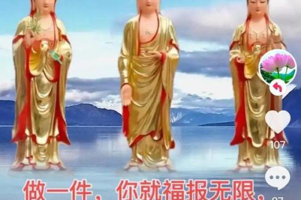 观音灵签求姻缘鱼龙混杂意相同 鱼龙混杂意和同第76签求财？