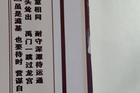 观音灵签求姻缘鱼龙混杂意相同 鱼龙混杂意和同第76签求财？