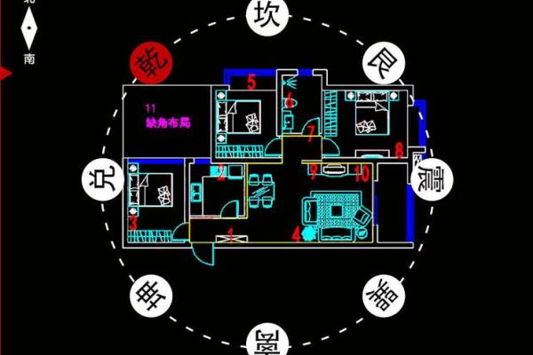 房子中间放什么旺风水 房子中间放什么旺风水