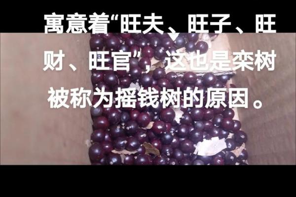 风水究竟是什么东西又有怎样的作用 风水究竟是什么东西又有怎样的作用