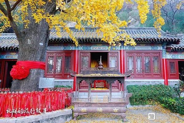 青岛解签灵的地方 青岛解签灵的地方