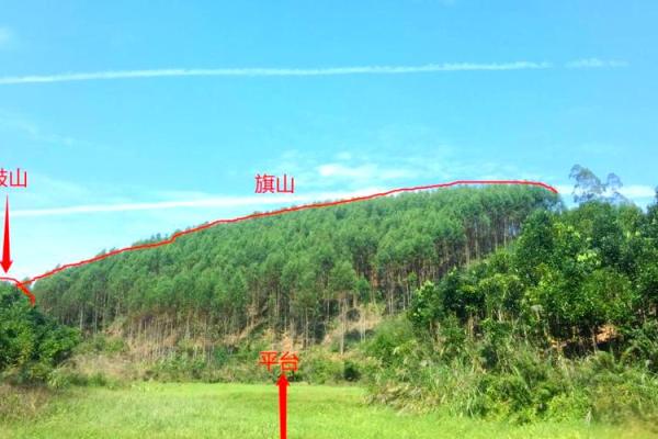 坟墓风水正前方不可以有什么？