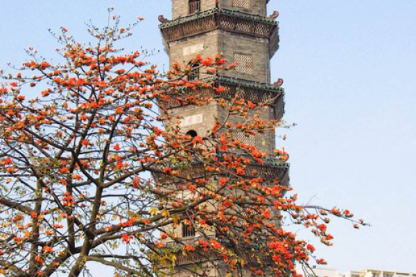 容桂 风水 容桂 风水
