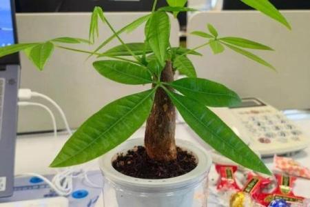 职场要注意，附基本的风水常识