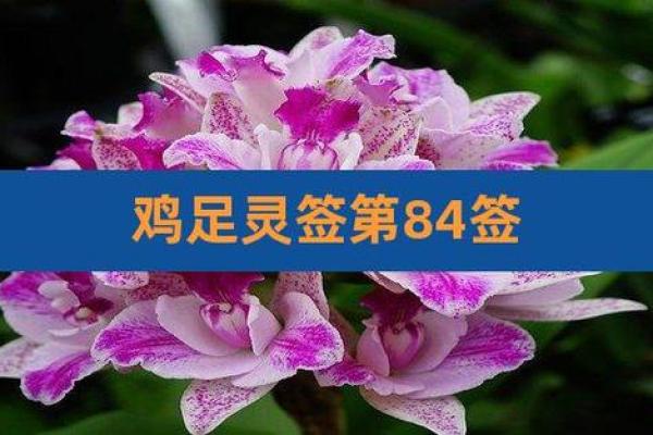 鸡足灵签53签求解