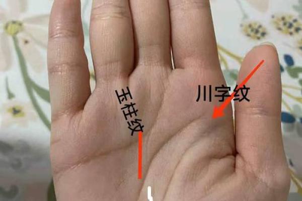 手相风水有川字纹的女人好不好 手相风水有川字纹的女人好不好