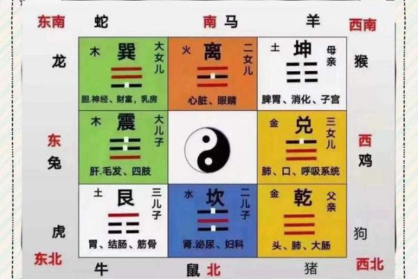 2015年有利于健康的风水布局 2015年有利于健康的风水布局