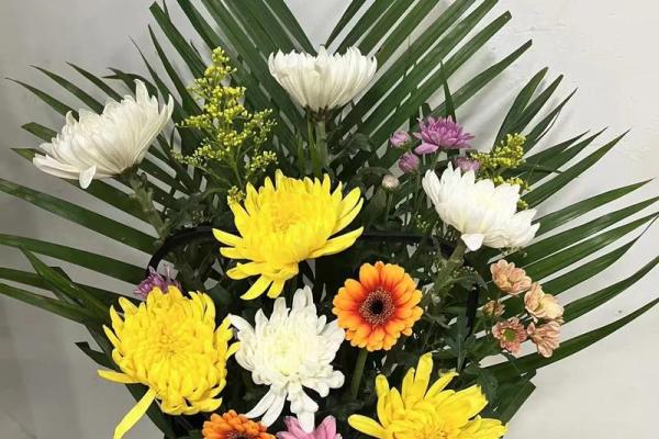 清明节扫墓用什么花风水 清明节扫墓用什么花风水