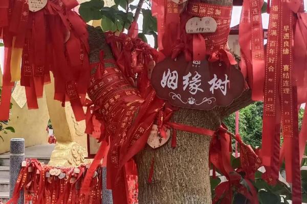 月老牵红线有着怎么样的传说呢