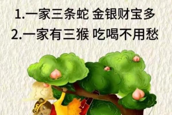 摆放吉神娃娃有什么禁忌风水须知