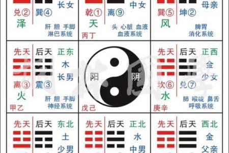 风水学：九宫八卦速记方法，看了你就会！