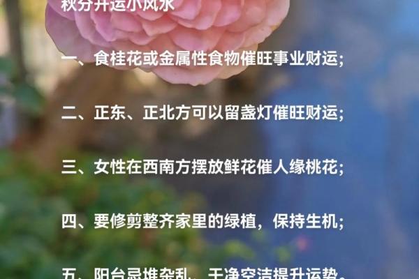 女人如何旺事业，事业风水讲究