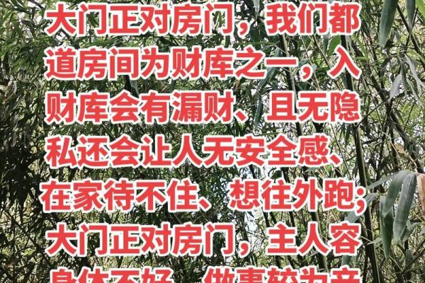 哪种风水会使我们漏财
