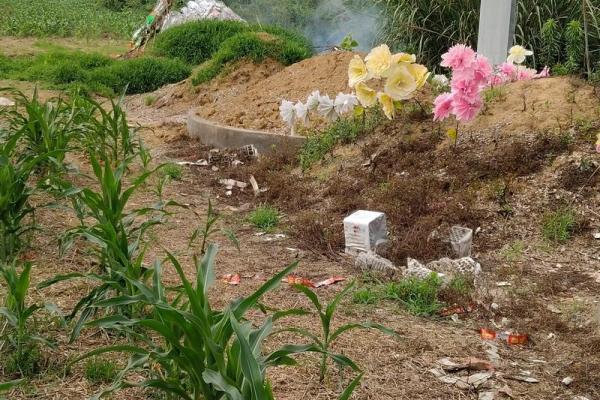 大林木命上坟的忌讳详解 上坟有什么风水禁忌