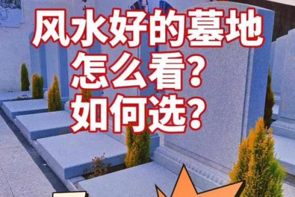 如何看墓地风水