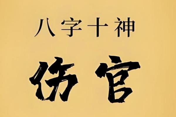 家居风水摆设如何化解女命伤官见官