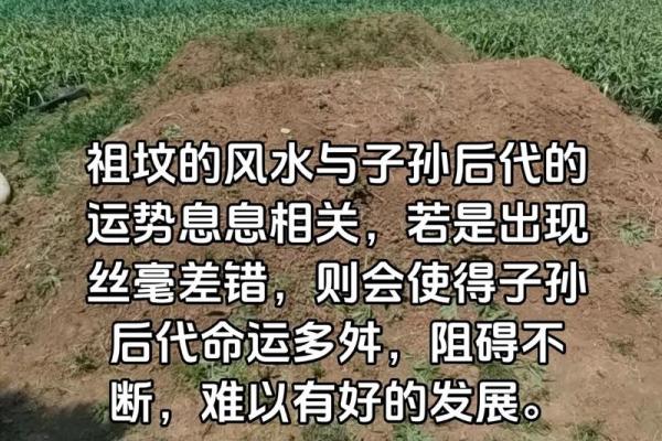 祖坟风水不好的现象