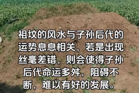 祖坟风水不好的现象