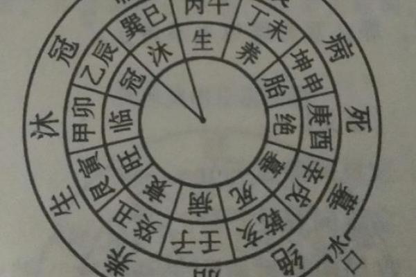 风水解答怀儿子最明显的征兆你知道几个