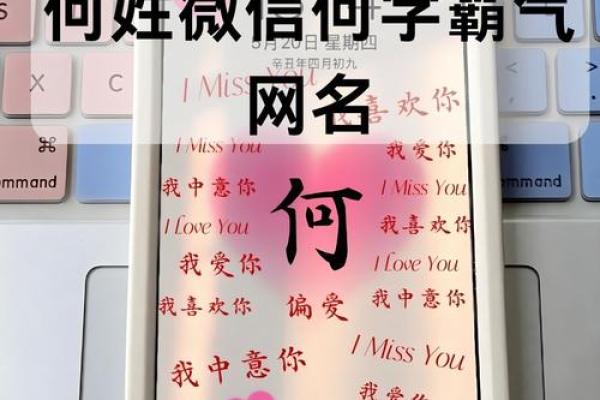 何姓女孩名字大全-何姓女孩起名字大全-何姓名字大全姓名