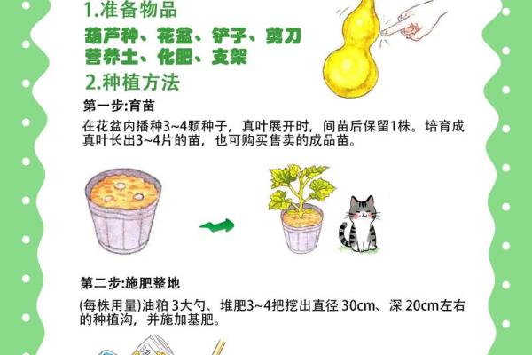 风水葫芦_农村种植的葫芦都用来干什么了