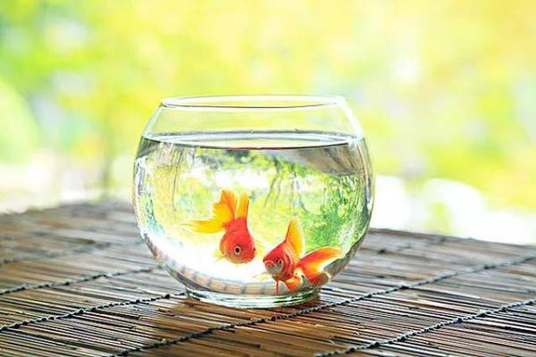 居住中出现什么情况说明风水好