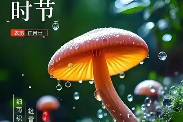 明天雨水,要谨防节气风水禁忌 明天雨水,要谨防节气风水禁忌