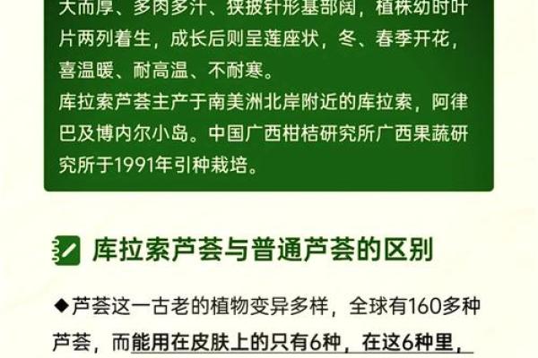 芦荟的风水作用 芦荟的风水作用