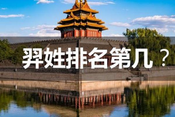 羿姓女孩名字大全-羿姓女孩起名字大全-羿姓名字大全姓名