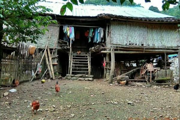 老房子上挂茅草好吗风水