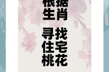 居家风水，助你能找到爱情伴侣